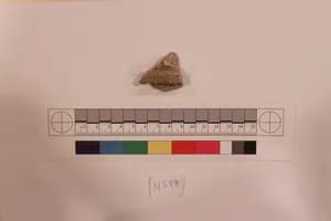 Stucco Fragment by Unknown Artist