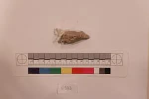 Stucco Fragment by Unknown Artist
