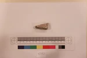 Stucco Fragment by Unknown Artist