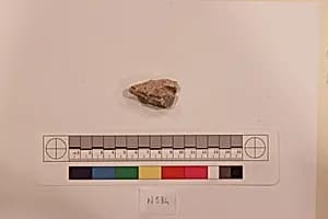 Stucco Fragment by Unknown Artist