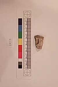 Stucco Fragment by Unknown Artist