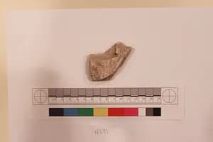 Stucco Fragment by Unknown Artist
