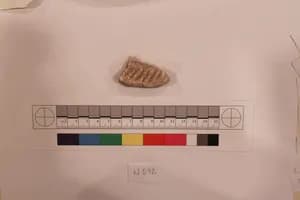 Stucco Fragment by Unknown Artist