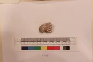 Stucco Fragment by Unknown Artist