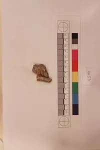 Stucco Fragment by Unknown Artist