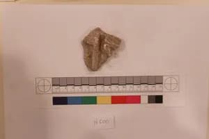 Stucco Fragment by Unknown Artist