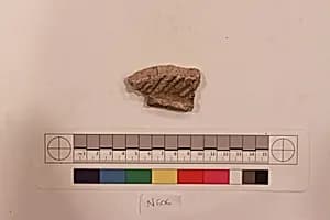 Stucco Fragment by Unknown Artist