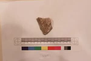 Stucco Fragment by Unknown Artist