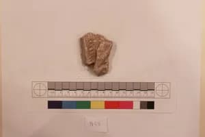 Stucco Fragment by Unknown Artist