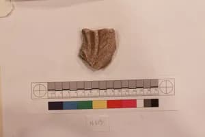 Stucco Fragment by Unknown Artist