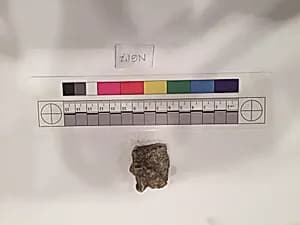 Stucco Fragment by Unknown Artist