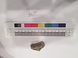 Stucco Fragment by Unknown Artist
