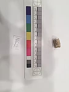 Stucco Fragment by Unknown Artist