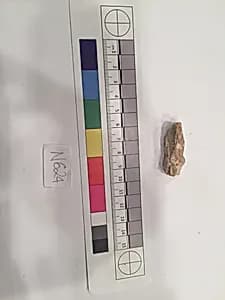 Stucco Fragment by Unknown Artist