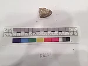 Stucco Fragment by Unknown Artist