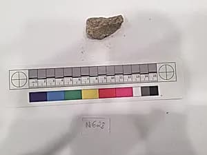 Stucco Fragment by Unknown Artist