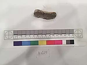 Stucco Fragment by Unknown Artist