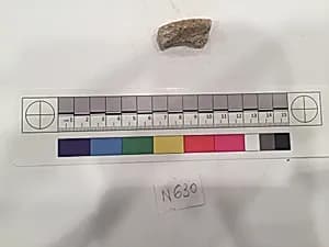Stucco Fragment by Unknown Artist