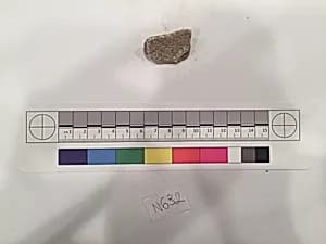 Stucco Fragment by Unknown Artist