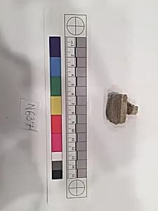 Stucco Fragment by Unknown Artist
