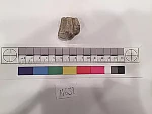 Stucco Fragment by Unknown Artist