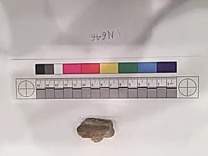 Stucco Fragment by Unknown Artist
