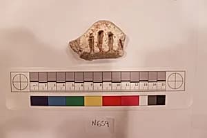 Stucco Fragment by Unknown Artist