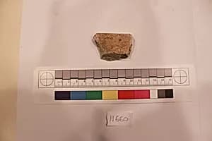 Stucco Fragment by Unknown Artist