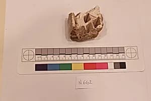 Stucco Fragment by Unknown Artist