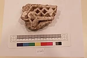 Stucco Fragment by Unknown Artist