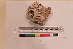 Stucco Fragment by Unknown Artist