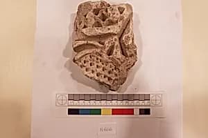 Stucco Fragment by Unknown Artist