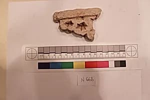 Stucco Fragment by Unknown Artist