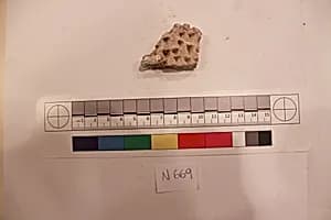 Stucco Fragment by Unknown Artist
