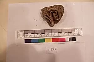 Stucco Fragment by Unknown Artist