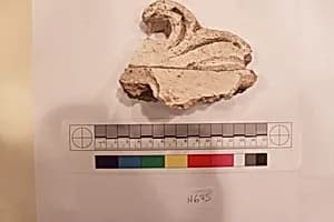 Stucco Fragment by Unknown Artist