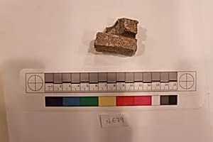 Stucco Fragment by Unknown Artist