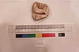 Stucco Fragment by Unknown Artist