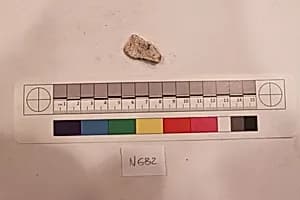 Stucco Fragment by Unknown Artist