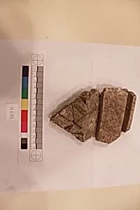 Stucco Fragment by Unknown Artist