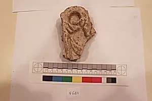 Stucco Fragment by Unknown Artist