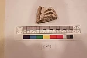 Stucco Fragment by Unknown Artist
