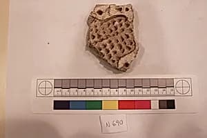 Stucco Fragment by Unknown Artist