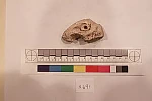 Stucco Fragment by Unknown Artist
