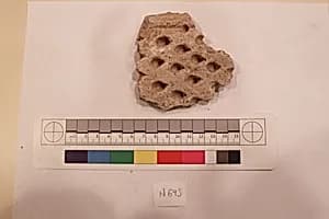 Stucco Fragment by Unknown Artist