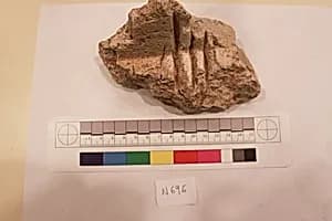 Stucco Fragment by Unknown Artist