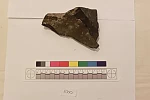 Stucco Fragment by Unknown Artist