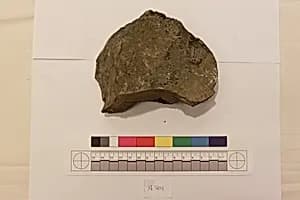 Stucco Fragment by Unknown Artist