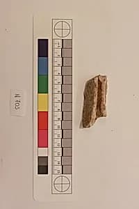 Stucco Fragment by Unknown Artist