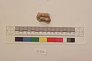 Stucco Fragment by Unknown Artist
